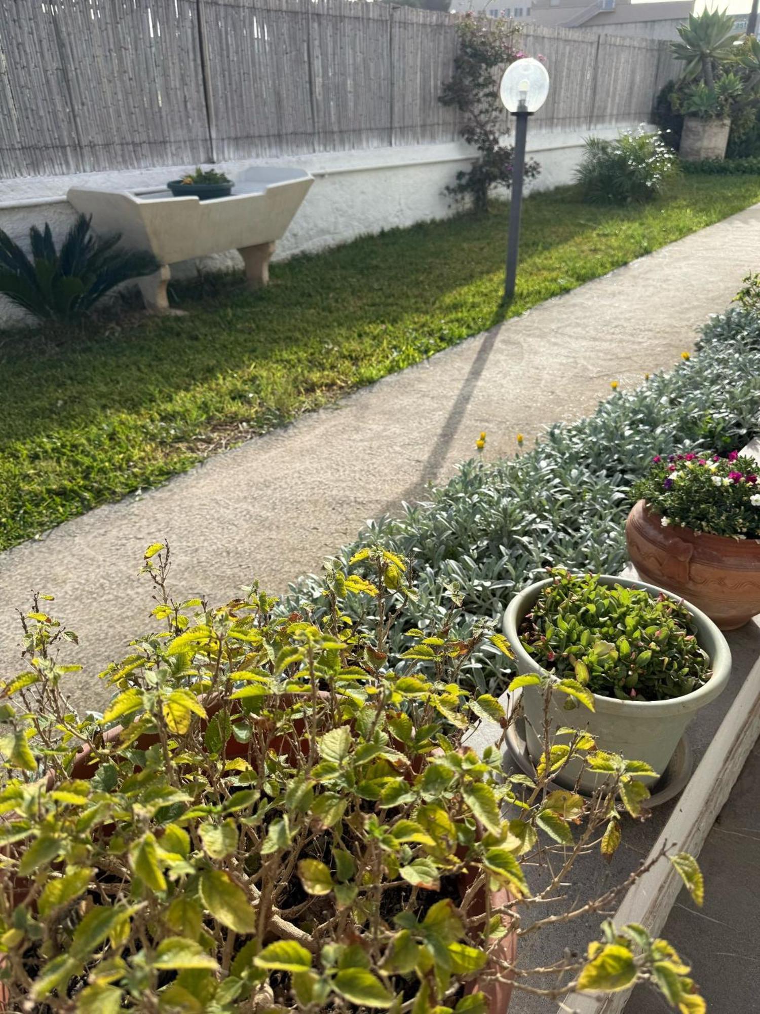 A Casa Di Coso B&B Marsala Buitenkant foto